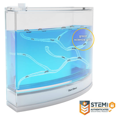 Complete contents of the STEM educational kit including tools and learning guide