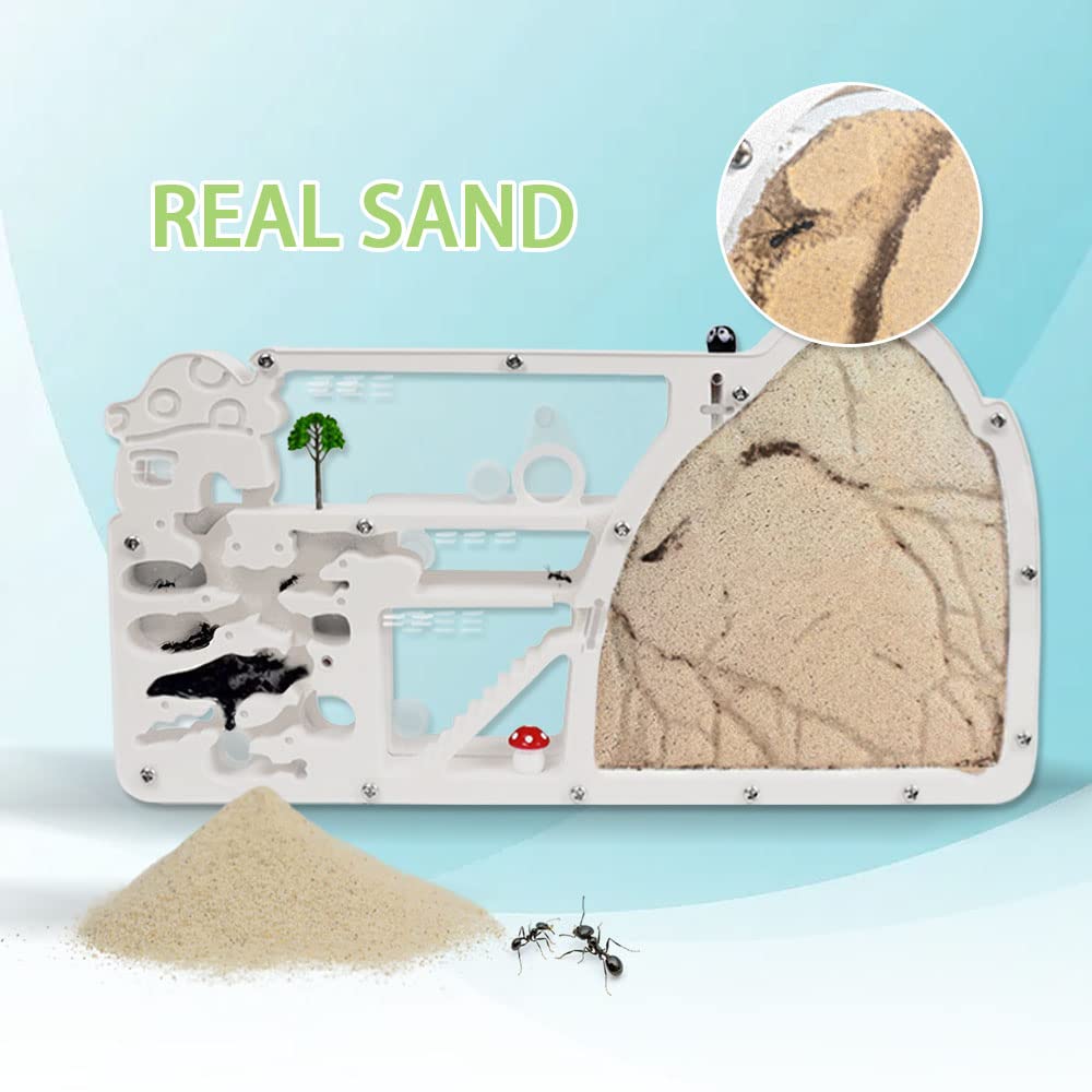 ELNMLHT ant colony observation kit demonstrating live ants digging tunnels in sand