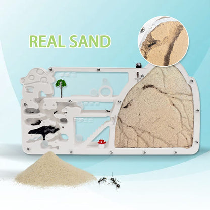 ELNMLHT ant colony observation kit demonstrating live ants digging tunnels in sand
