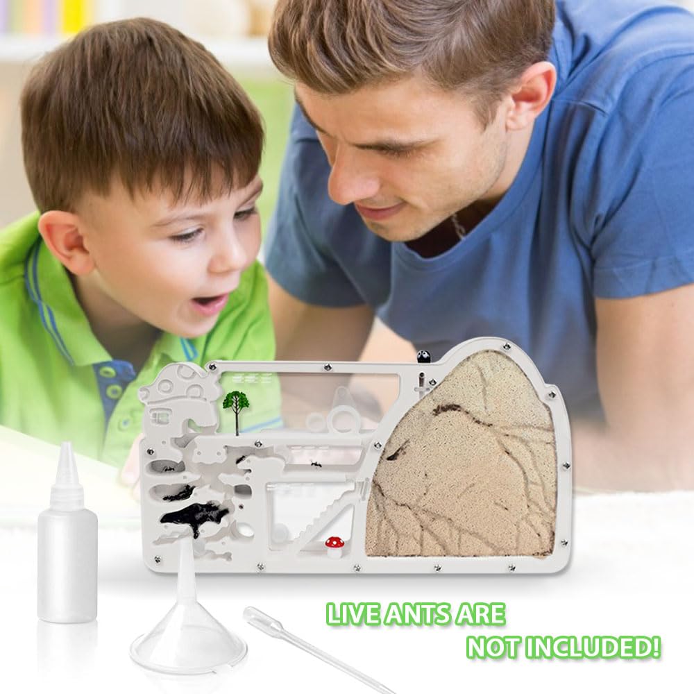 ELNMLHT packaging box showing the complete ant viewing habitat science kit for students