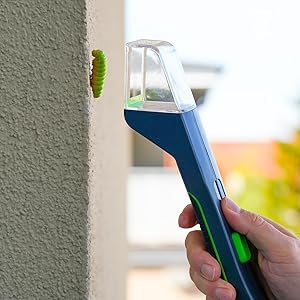 Transparent insect observation toy hood showing how to trap bugs safely