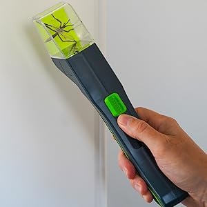 Educational nature exploration toy for children to view insects without harm