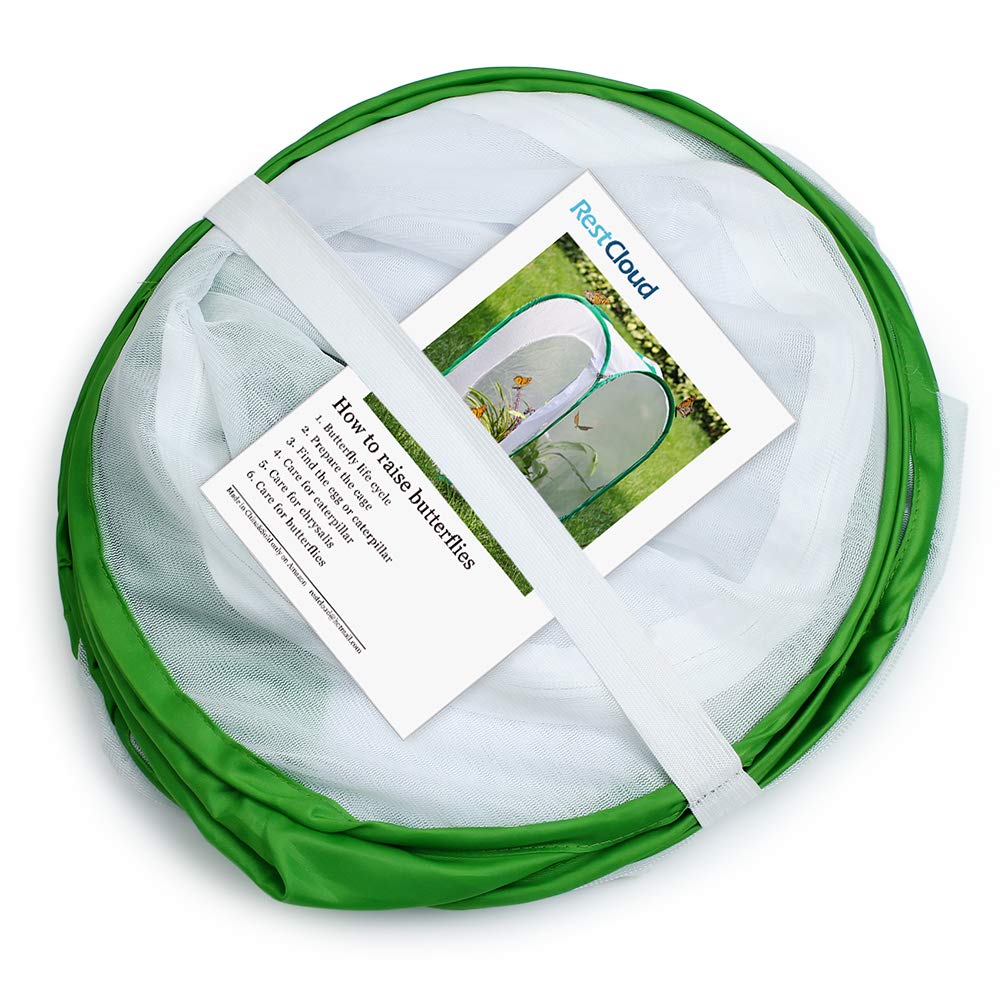 RESTCLOUD large pop up cage showcasing the clear vinyl window panel for easy insect observation.
