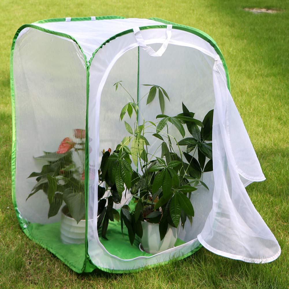 RESTCLOUD 36 inch insect enclosure flatly collapsed to demonstrate its convenient space saving storage feature.