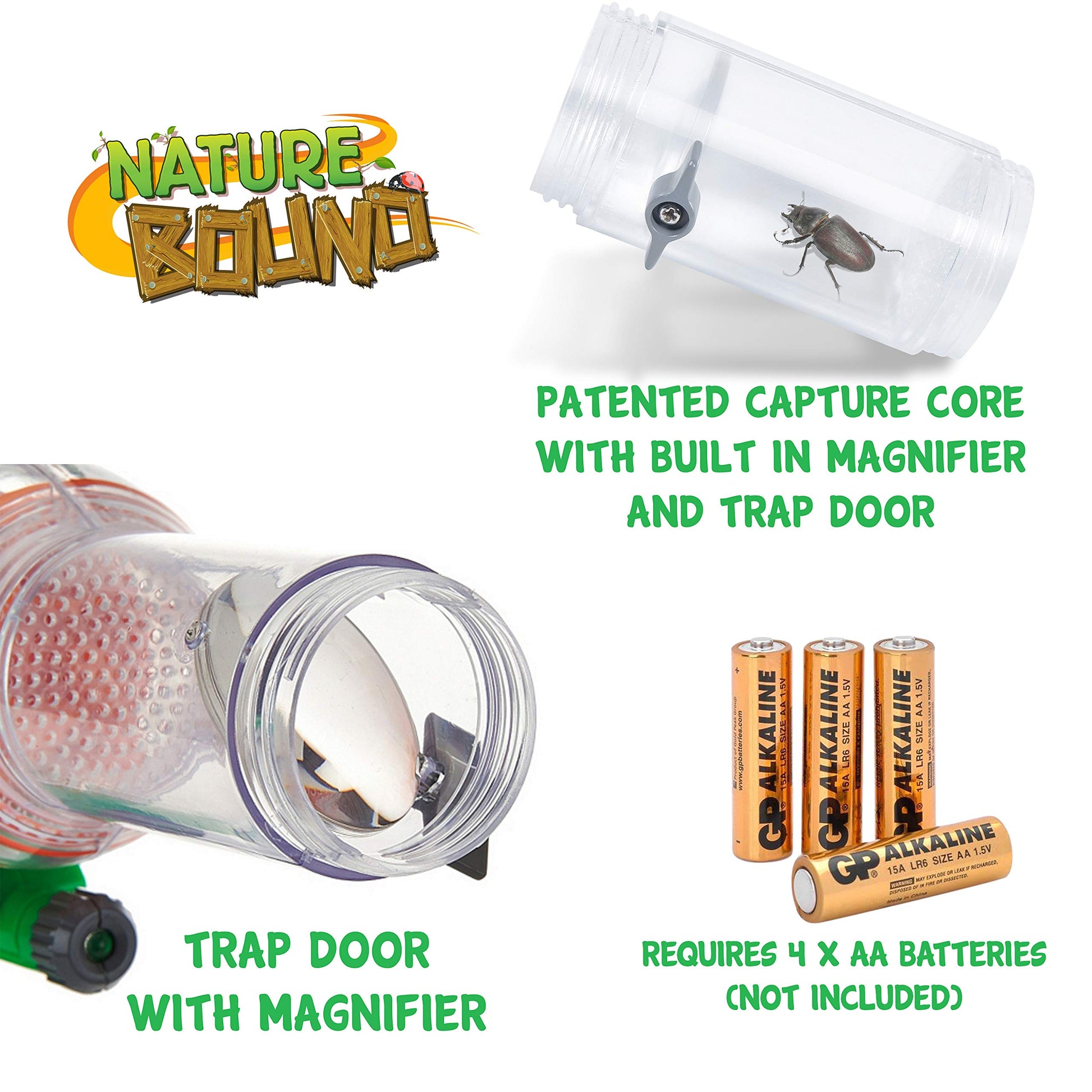 Close up of the insect observation cage with built-in measuring ruler base