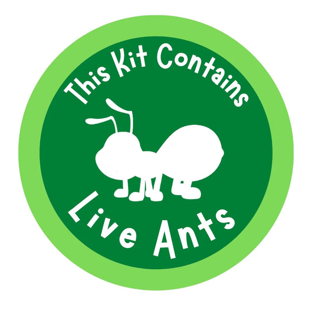 Two secure shipping tubes containing fifty live Western Harvester ants