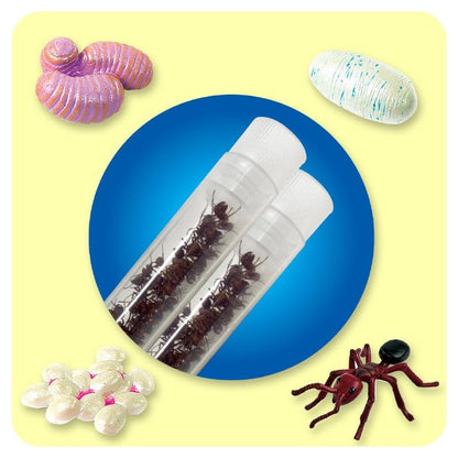 Anatomically accurate plastic ant figurines for classroom STEM education