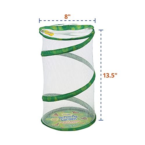 Insect Lore 8 inch butterfly habitat popped open with educational stickers