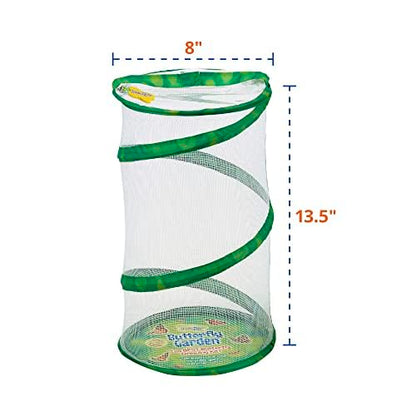Insect Lore 8 inch butterfly habitat popped open with educational stickers