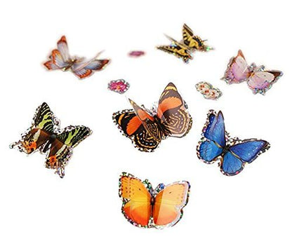 Insect Lore science kit demonstrating the butterfly life cycle transformation