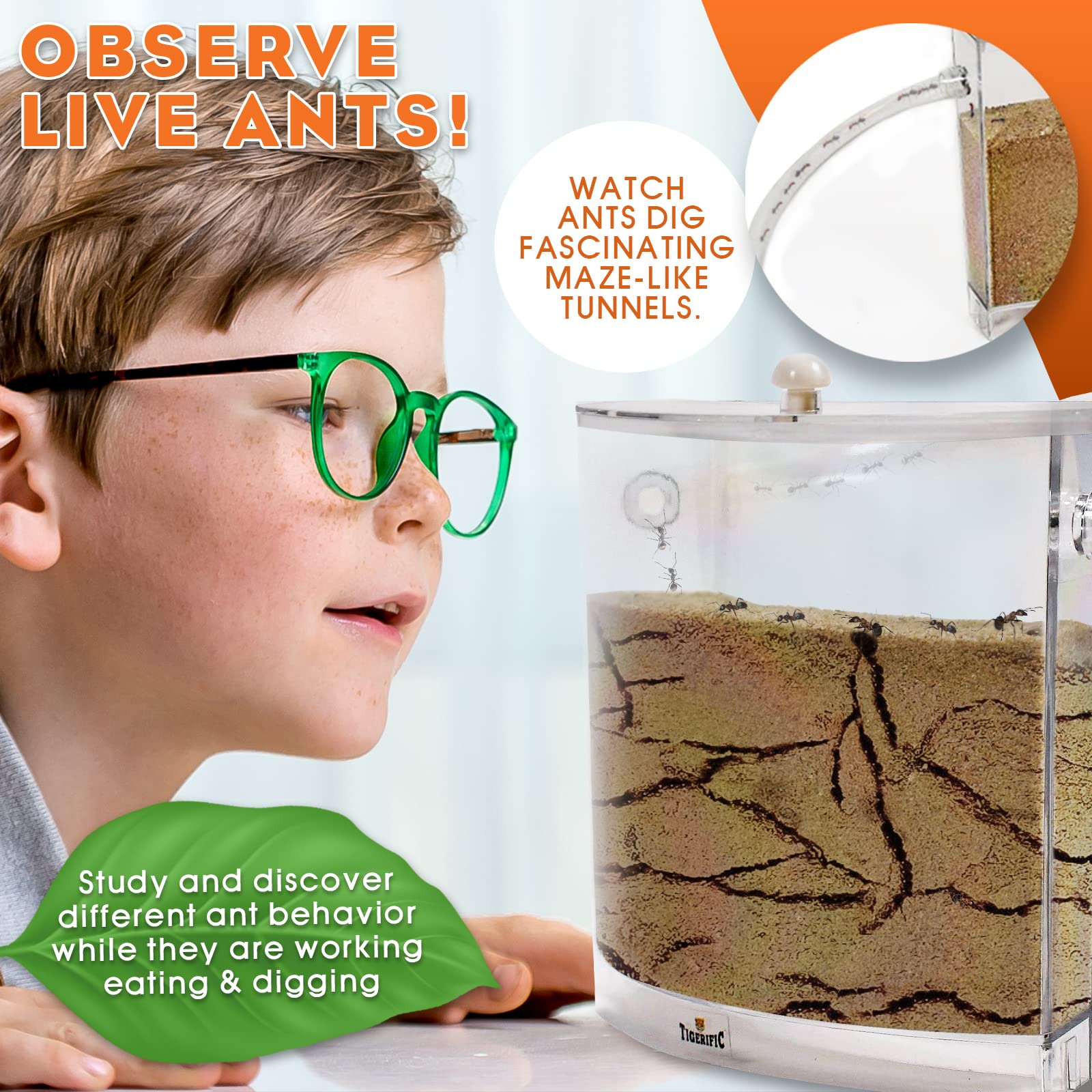 Tigerific real sand ant colony kit side angle showing kids educational booklet