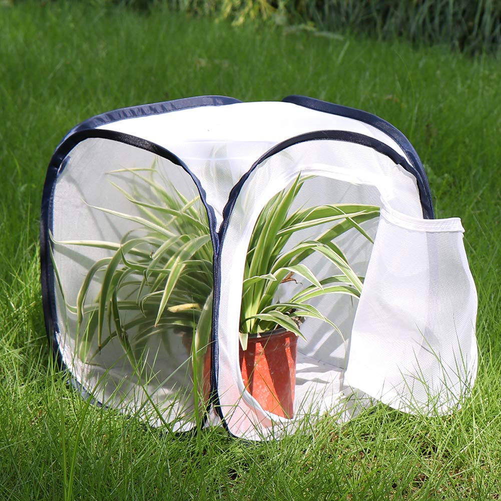 Restcloud butterfly habitat enclosure with zippered side opening unzipped for easy access.