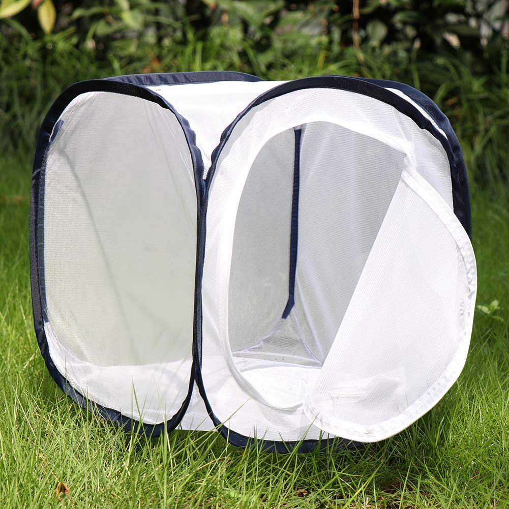 Restcloud 12 inch insect cage collapsed flat showing its space saving storage design.