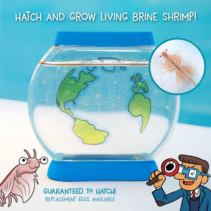 Clear plastic habitat tank filled with water and brine shrimp being viewed through a magnifying glass