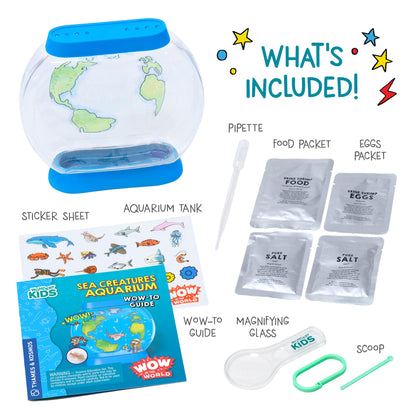 Child decorating the transparent sea creature tank with colorful marine life stickers