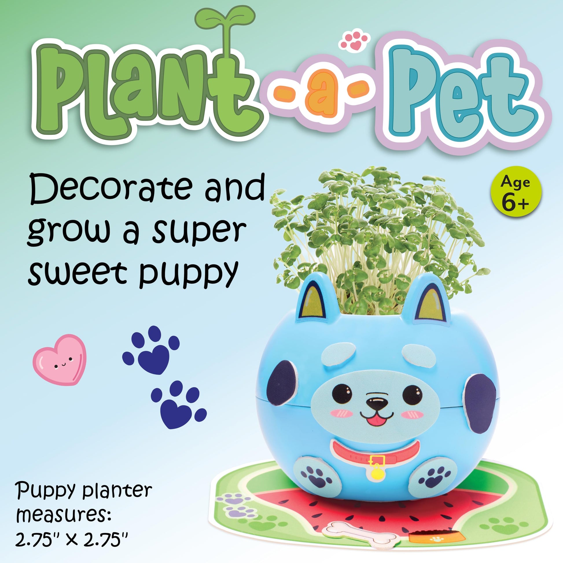 Assembled Creativity for Kids Plant-A-Pet Puppy planter with sprouted green chia seed fur