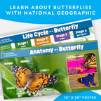 Close up of the flower shaped butterfly feeder accessory included in the science kit