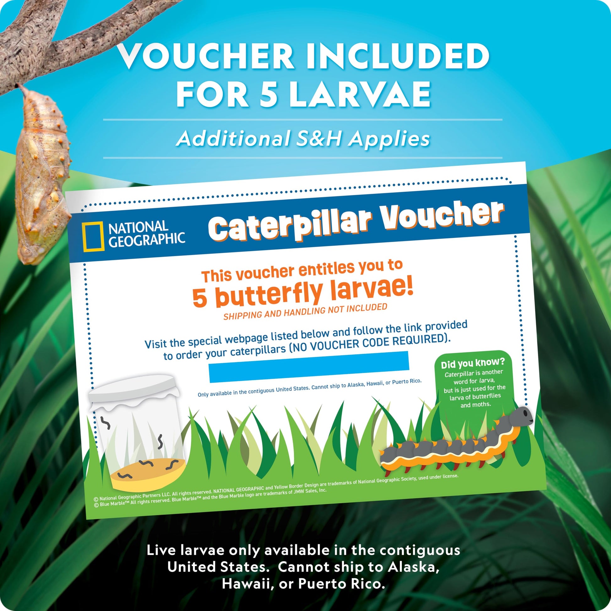 National Geographic butterfly kit packaging showcasing the live caterpillar voucher card