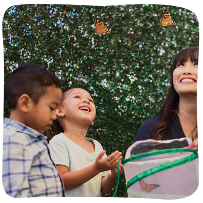 Insect Lore live caterpillar voucher kit with activity journal for classroom learning
