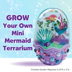 Assembled egg-shaped mermaid terrarium with sprouted green chia seeds and colorful sand layers