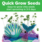 Close-up of quick-growing chia sprouts inside a mini mermaid ecosystem craft setup