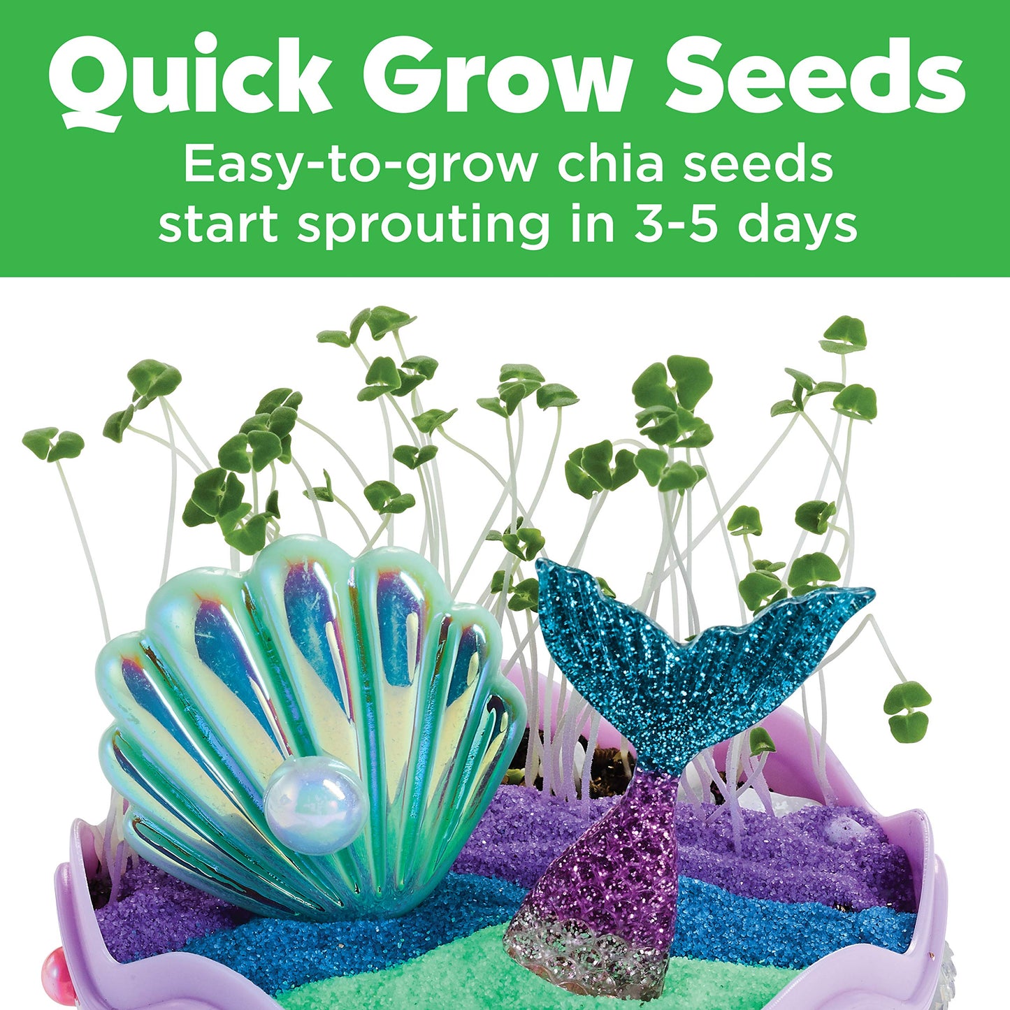 Close-up of quick-growing chia sprouts inside a mini mermaid ecosystem craft setup