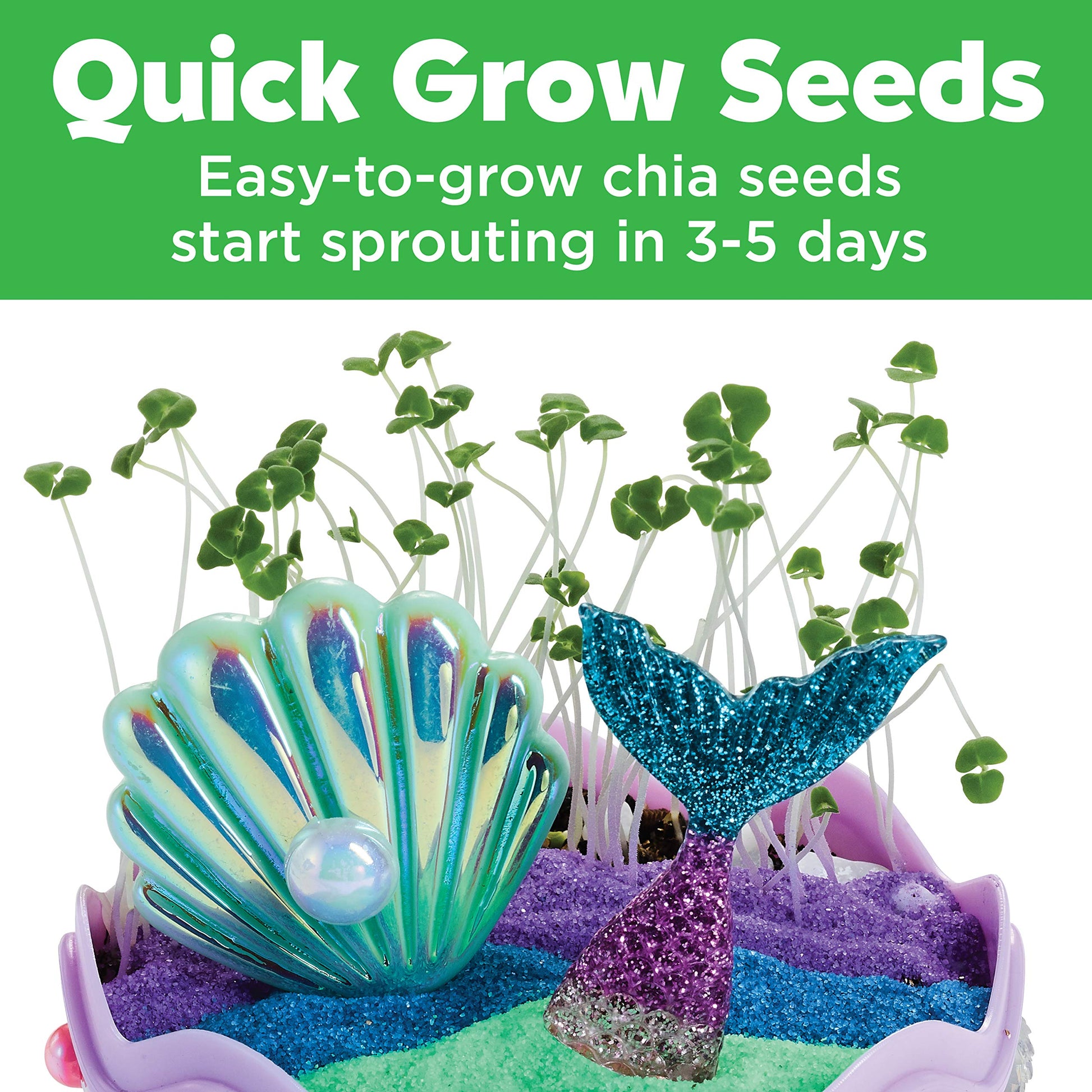 Close-up of quick-growing chia sprouts inside a mini mermaid ecosystem craft setup
