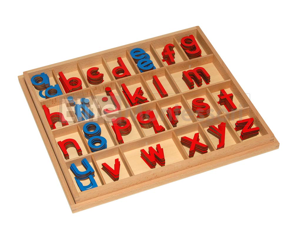 Close-up of five millimeter thick red and blue wooden letters inside the divided storage tray.