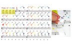 Close up view of color coded music education stickers applied cleanly onto the white keys of a beginner keyboard.