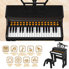 Dollox electronic toddler musical instrument with the attached singing microphone assembly.