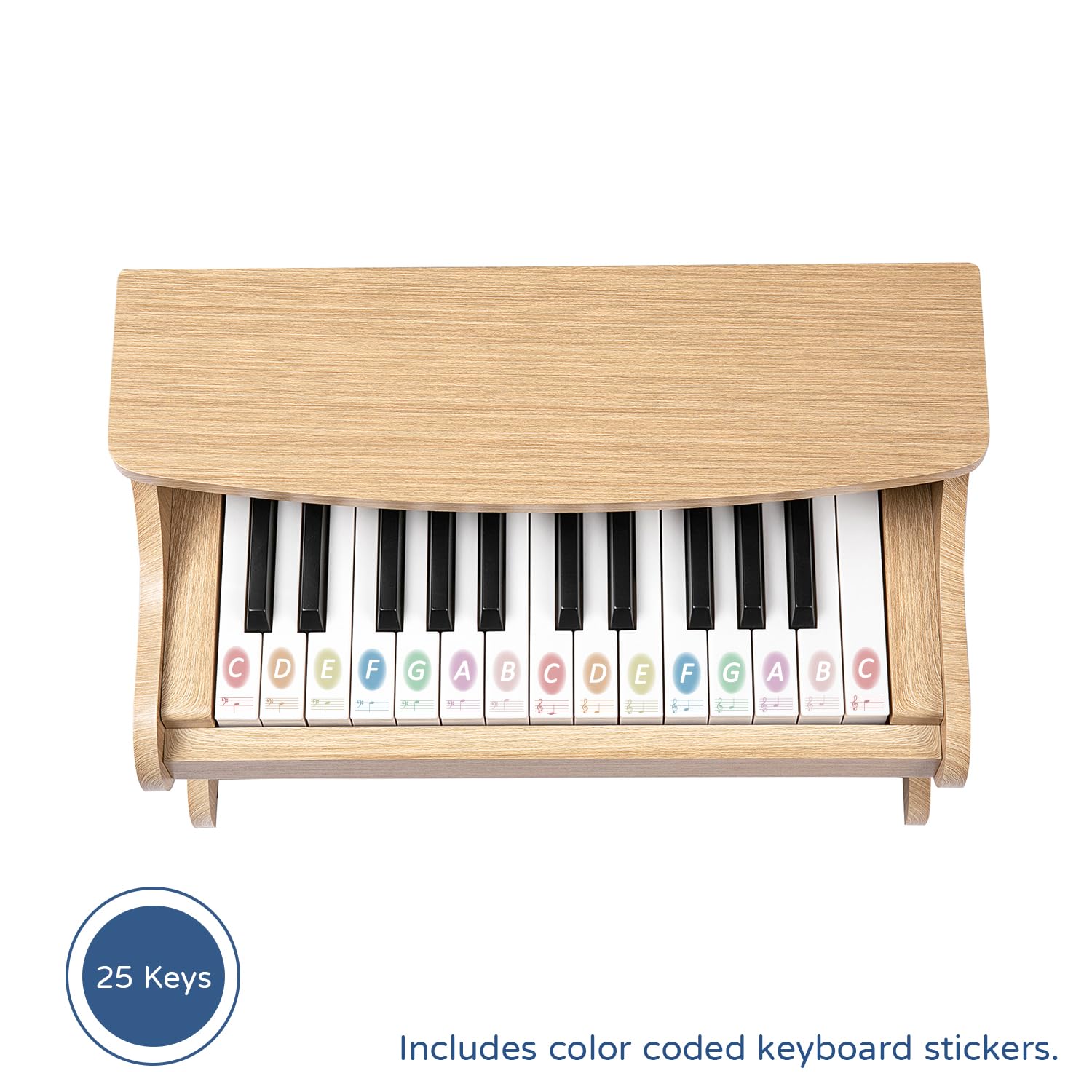 ZIPPY twenty five keys miniature electronic keyboard with included english songbook