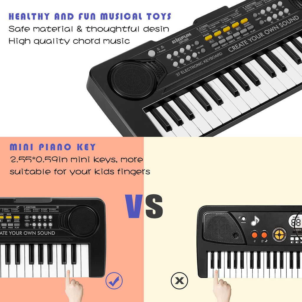 Raimy electronic musical instrument toy with microphone accessory