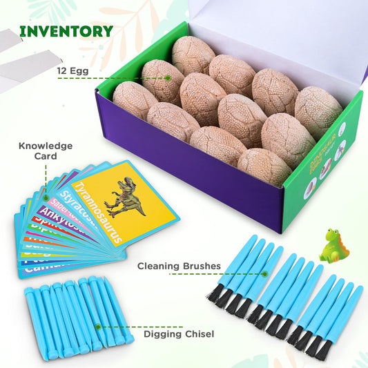 Twelve individual clay dinosaur eggs displayed with matching tools and educational cards