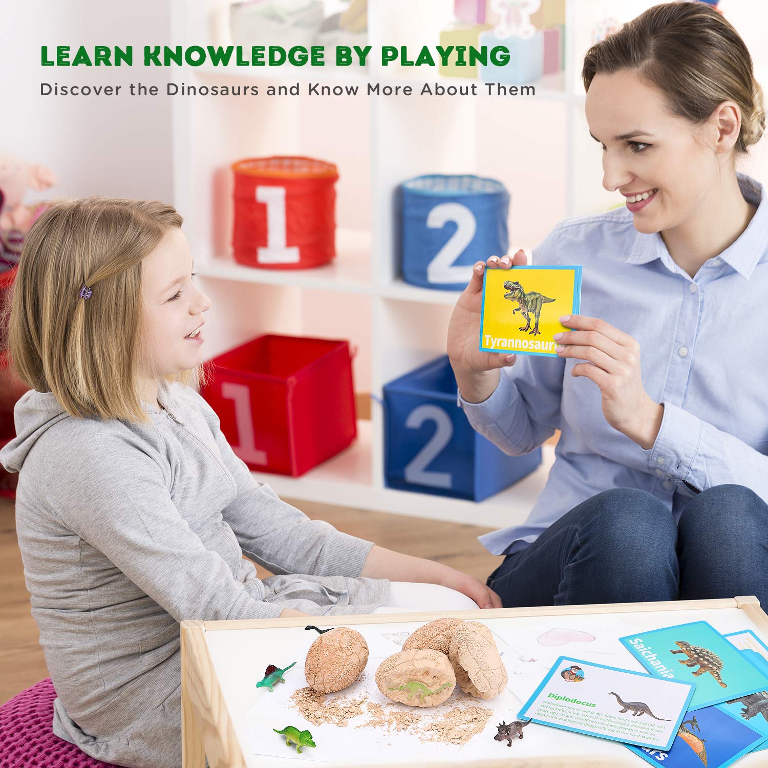 Close-up of the educational dinosaur knowledge cards paired with their corresponding excavated models