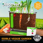 Clear plastic planter container filled with soil showing growing carrots and radishes root systems