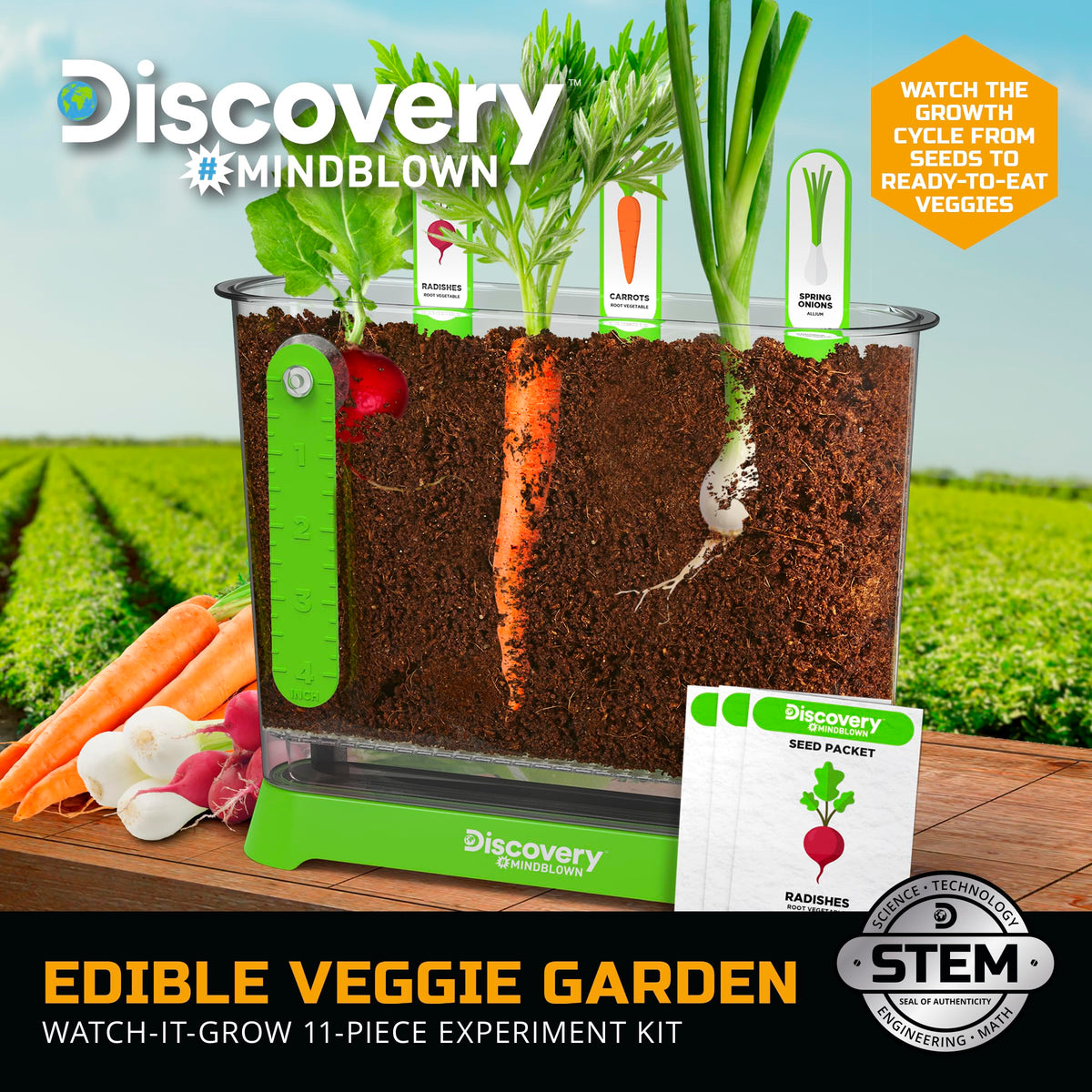 Clear plastic planter container filled with soil showing growing carrots and radishes root systems