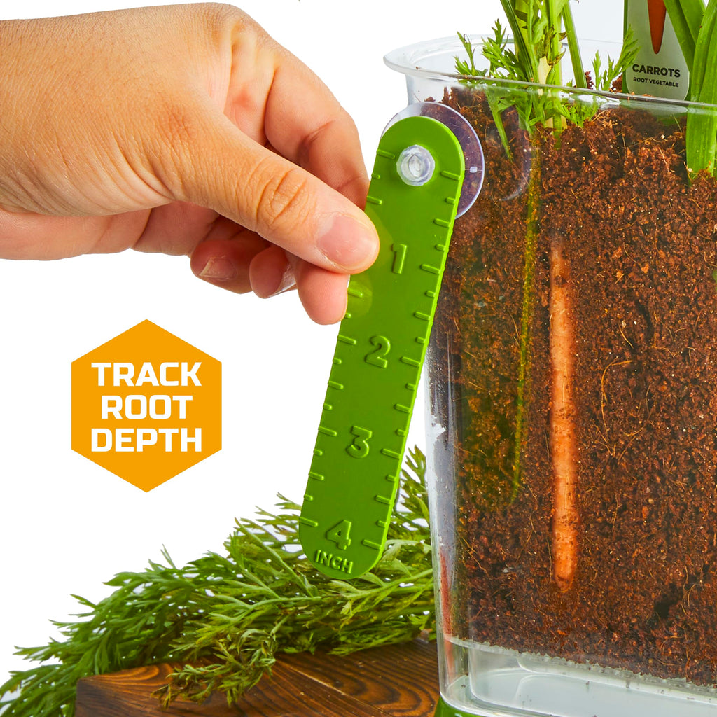 Included plant identification flags marking the spots of carrots radishes and spring onions