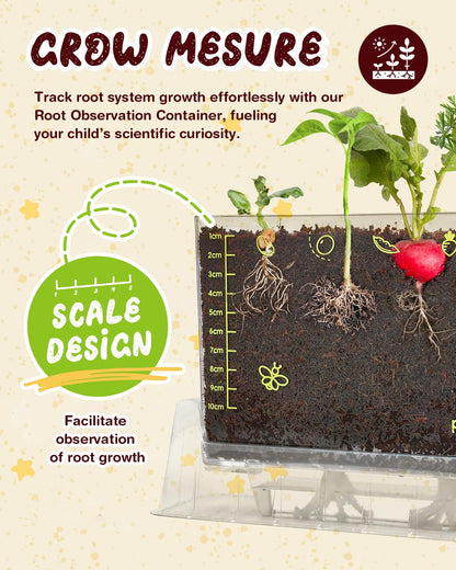 PLANTMEW educational STEM science kit showing radish and carrot roots growing underground