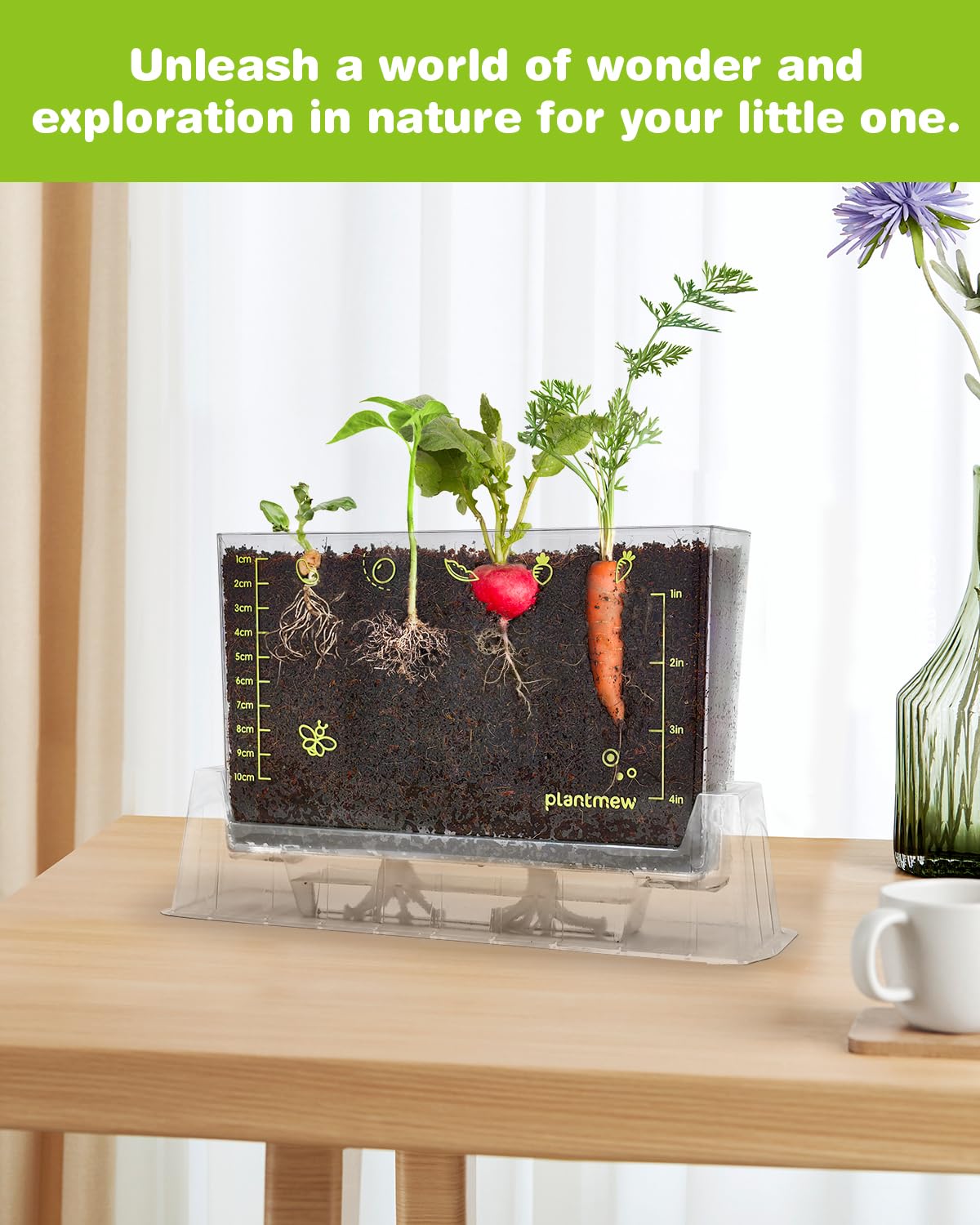 PLANTMEW root viewer box close up highlighting green shoots and unique pea root tendrils