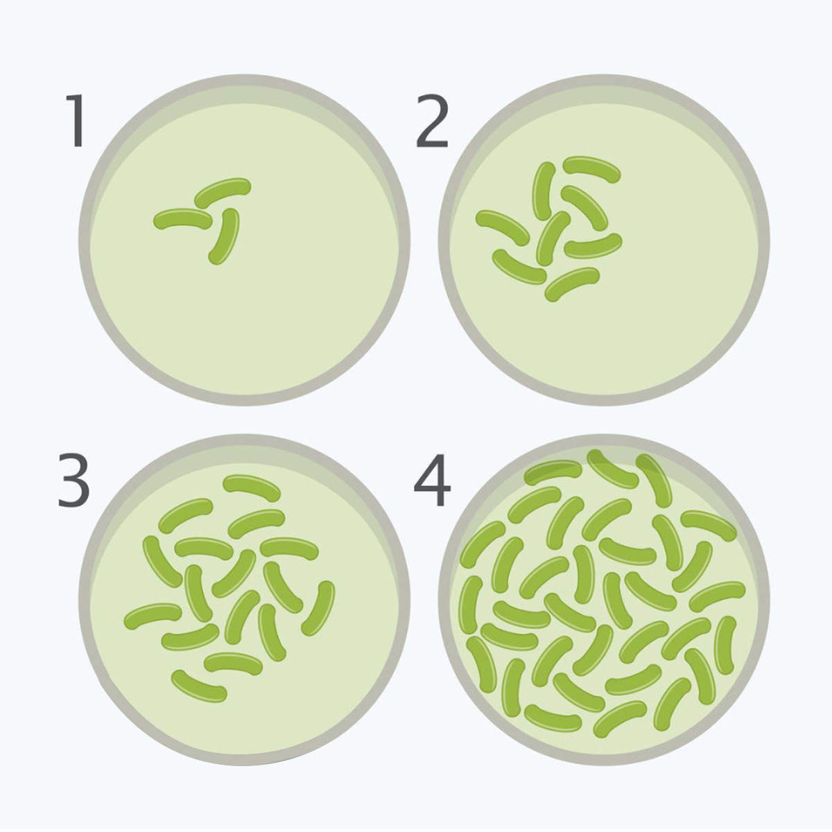 DalosDream microbiology science kit showing ten prepoured petri dishes and plastic pipettes