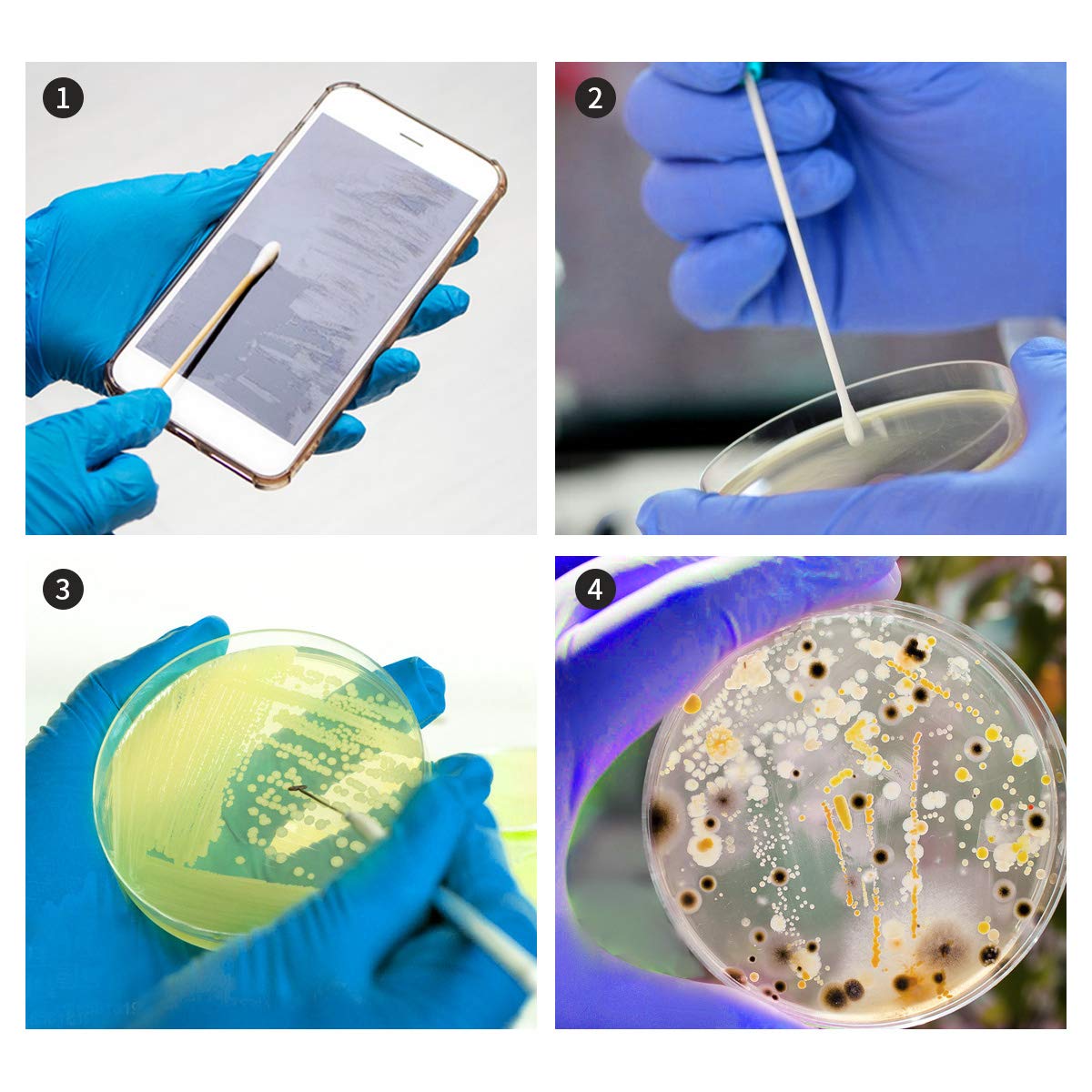 Sterile cotton swabs and plastic droppers included in the DalosDream STEM bacteria growing set