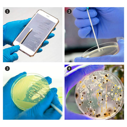 Sterile cotton swabs and plastic droppers included in the DalosDream STEM bacteria growing set