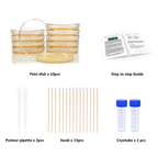 Step by step experiment guide included with the DalosDream school science fair project kit