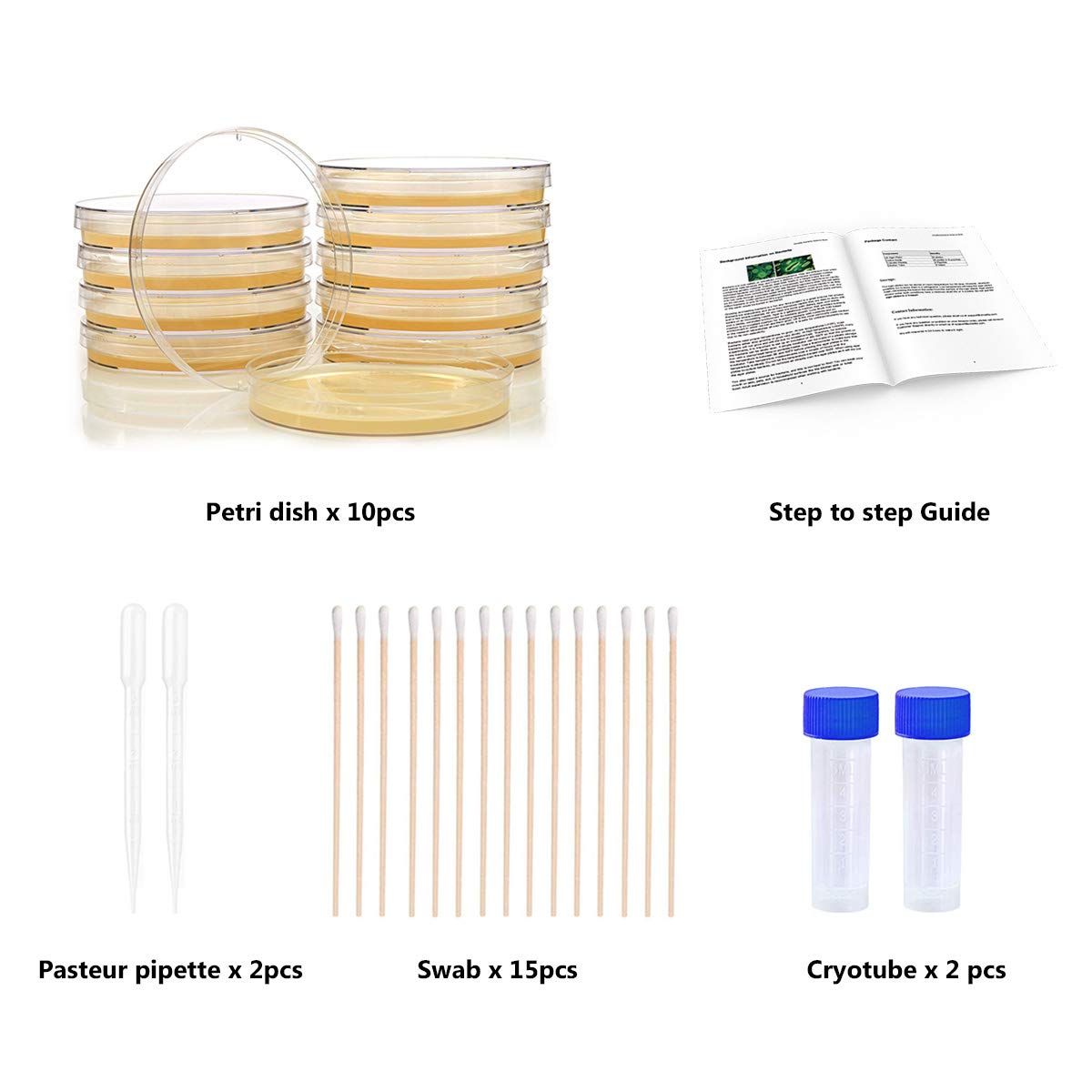 Step by step experiment guide included with the DalosDream school science fair project kit
