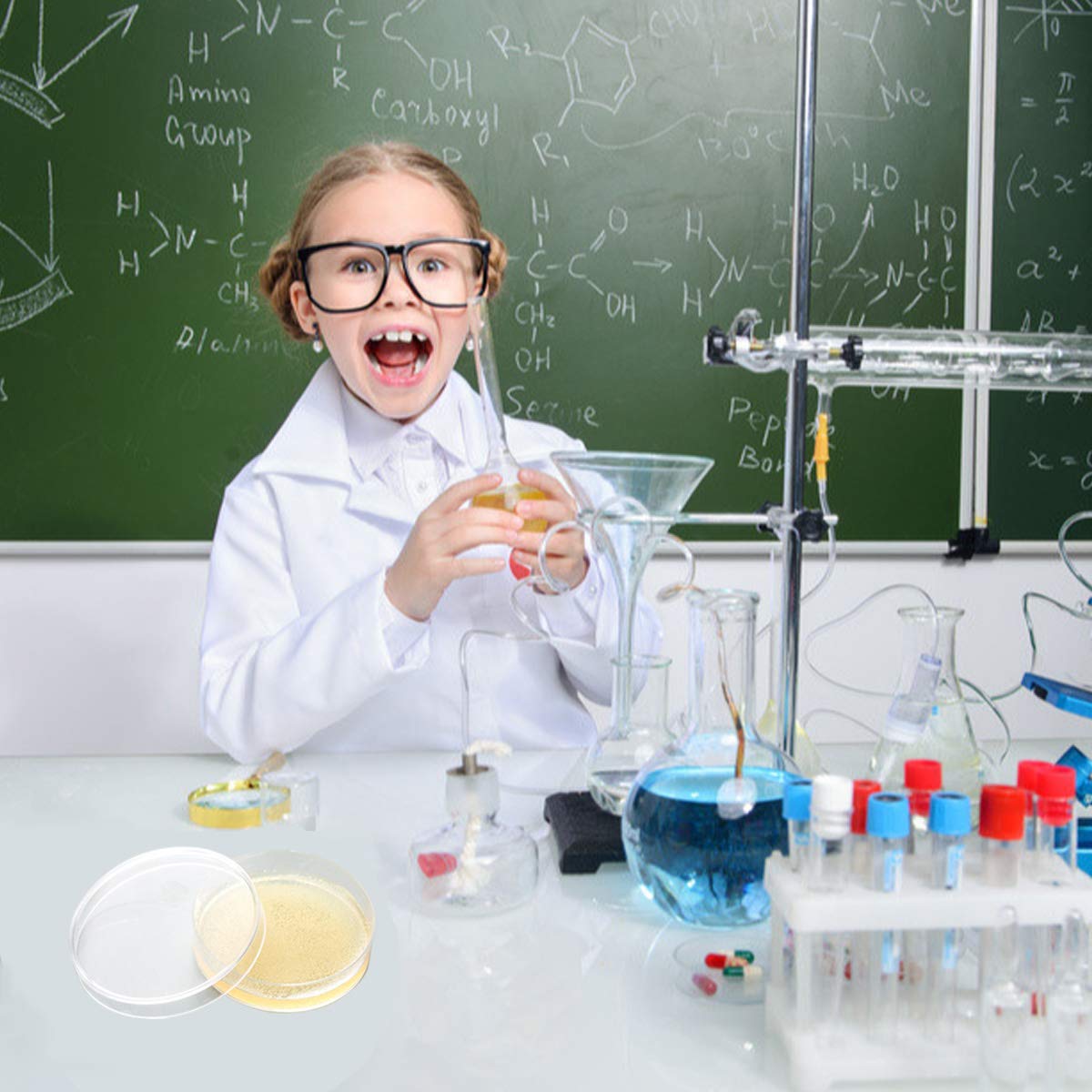 DalosDream educational microbiology kit for children showing all box contents laid out flat
