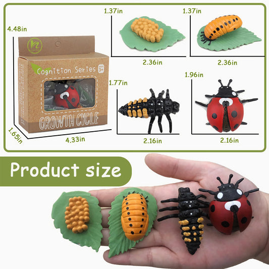 Detailed close up of the Mbrain Montessori ladybug developmental stage plastic figurines