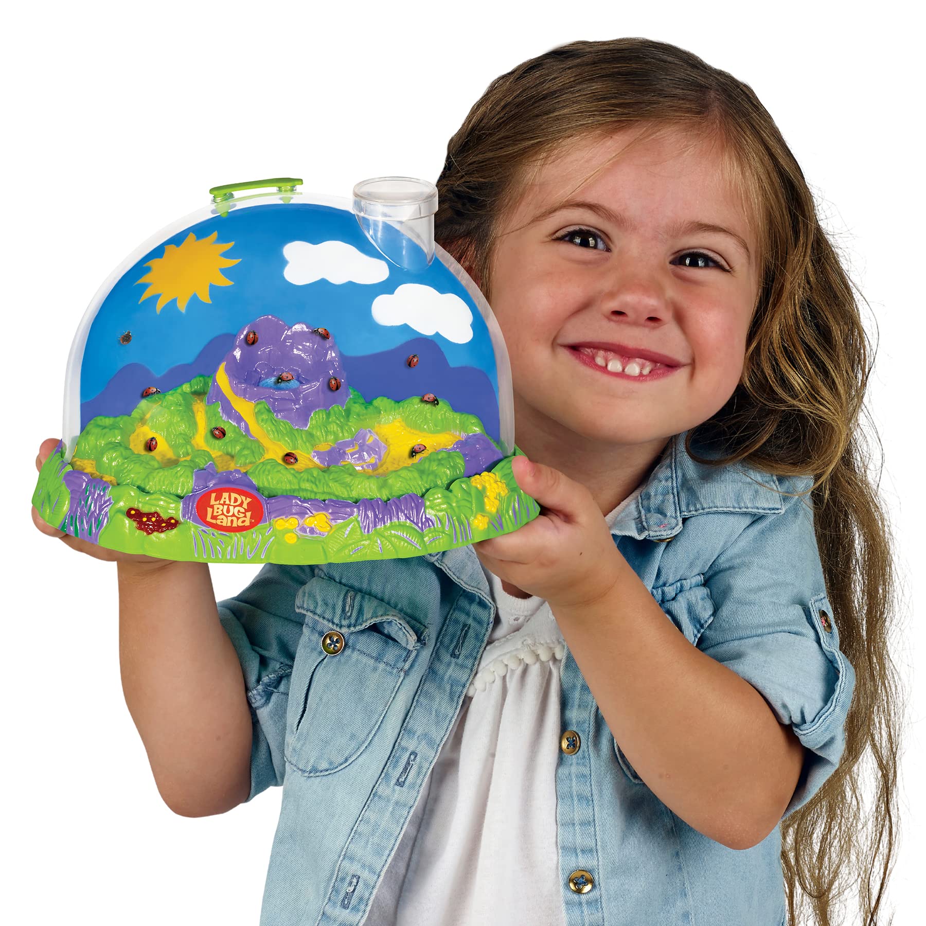 Insect Lore Ladybug Land complete STEM toy contents including reusable plastic diorama habitat