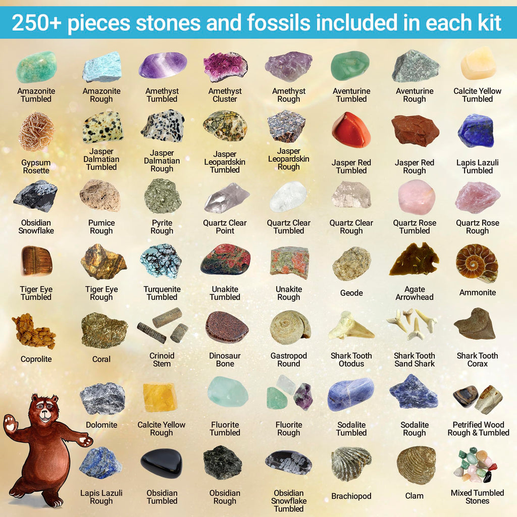 STEM educational rock and fossil identification sheet with crystals