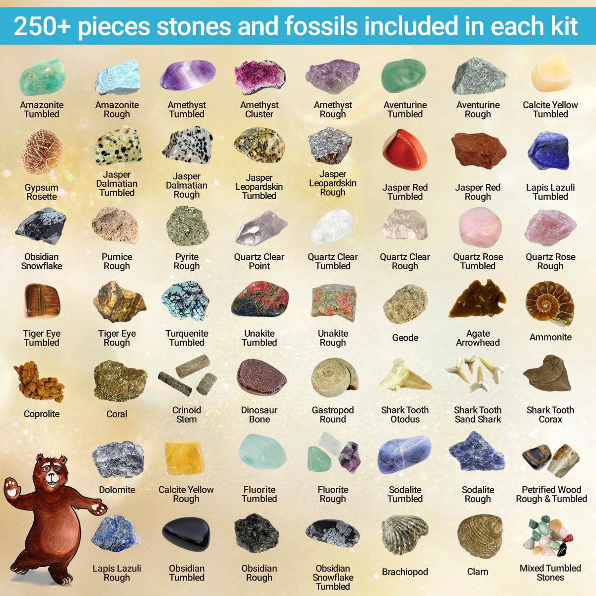 STEM educational rock and fossil identification sheet with crystals