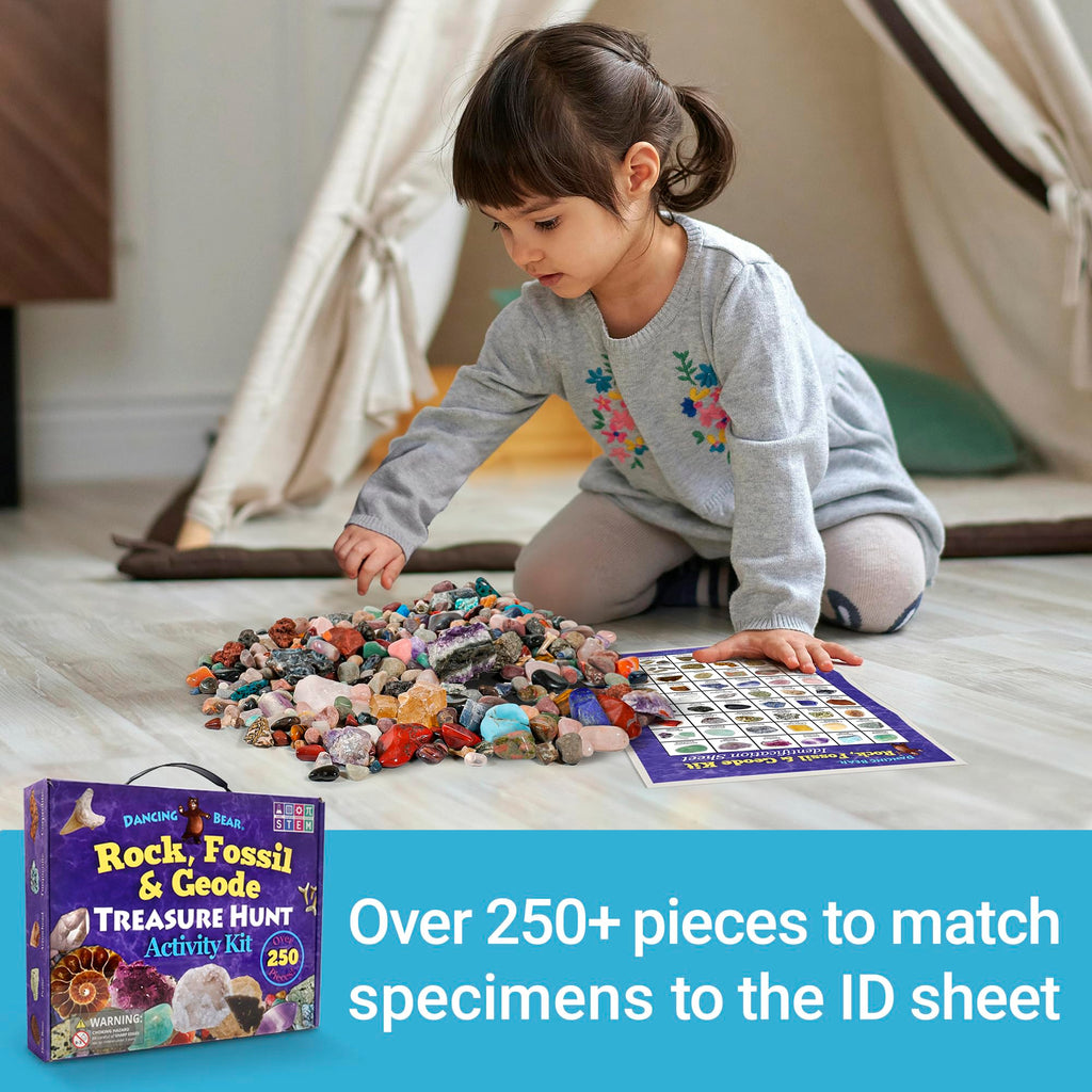 Over two hundred and fifty pieces of authentic rocks and minerals